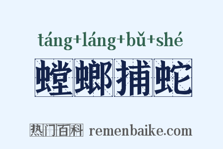 螳螂捕蛇是什么意思的图片